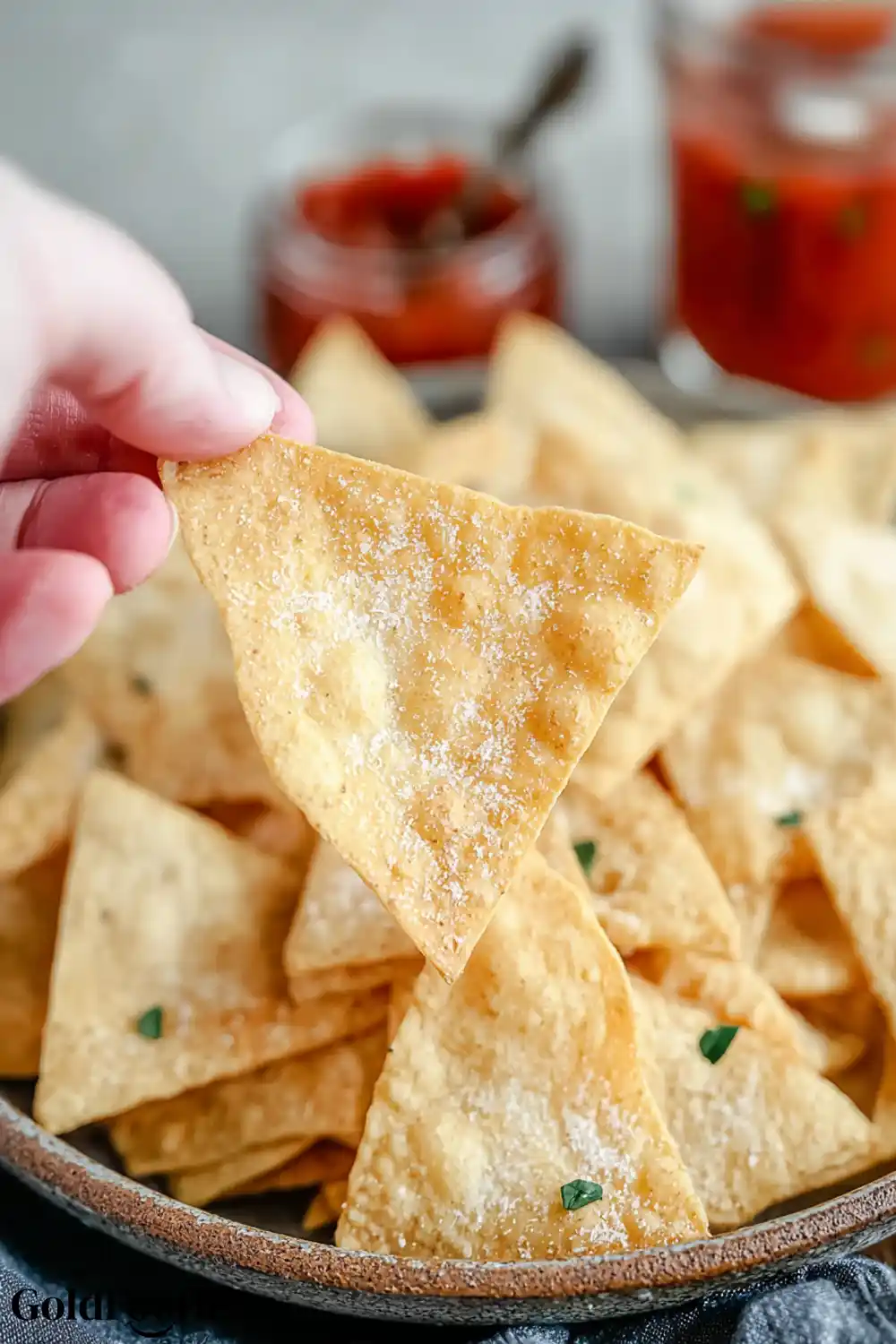 Crunchy Homemade Tortilla Chip Hand holding a single keto tortilla chip above a plate.
