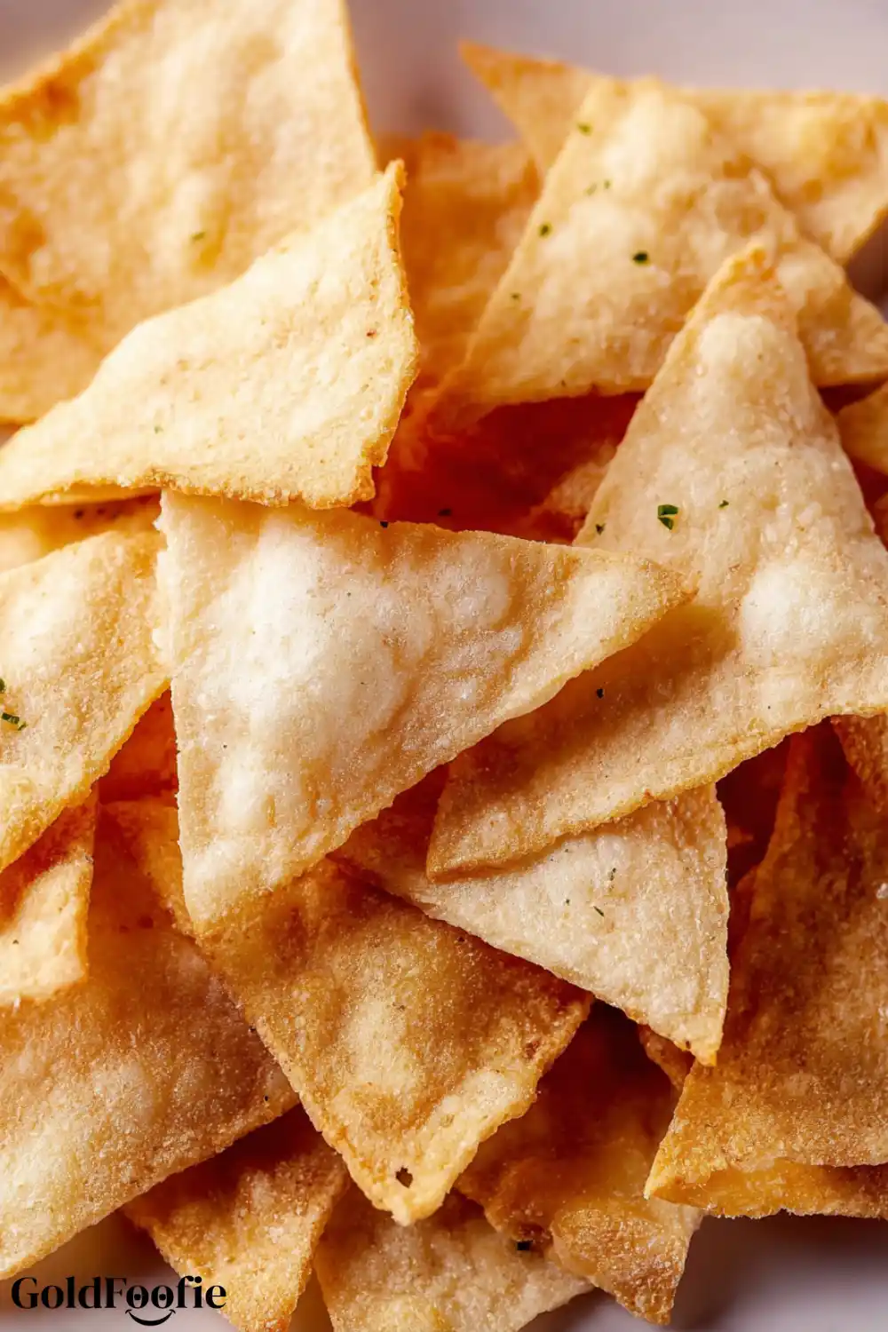 Keto Tortilla Chips No Cheese Recipe 6 Keto tortilla chips close-up with toasted edges