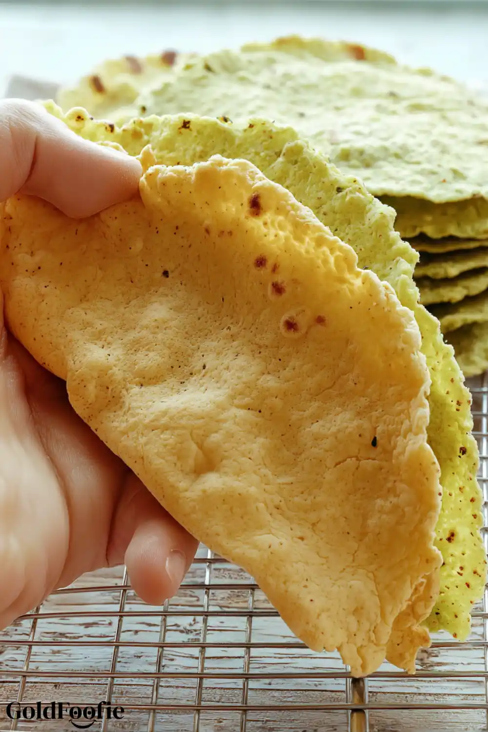 Flexible Yellow Split Pea Tortilla in Hand Hand holding a soft and bendable yellow split pea tortilla