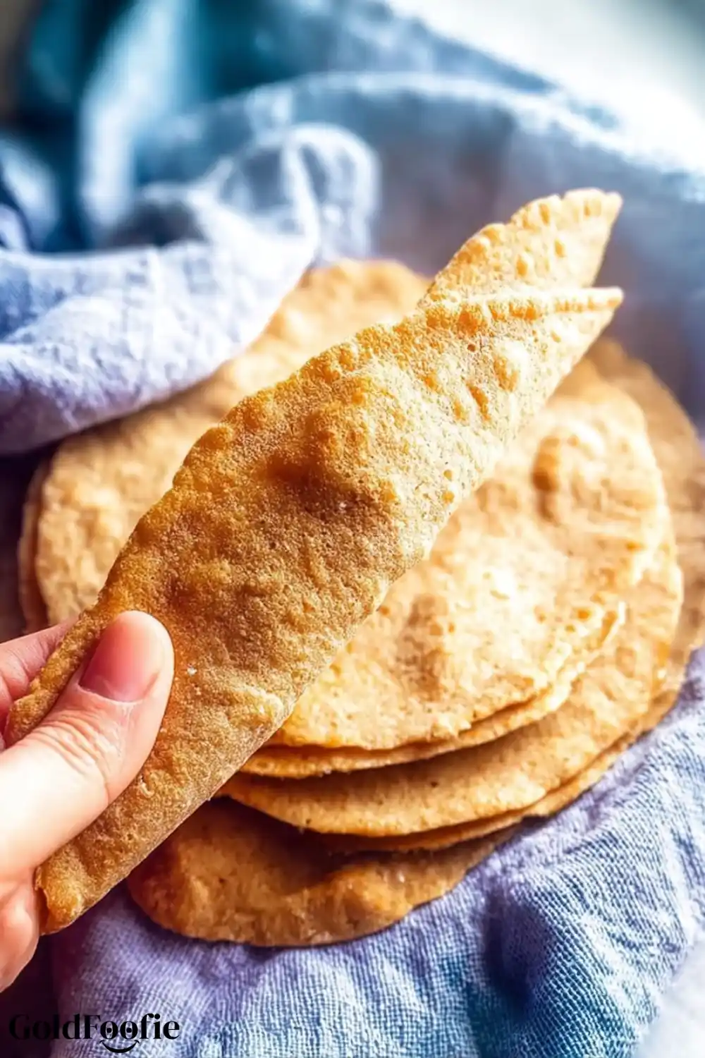 Freshly Made Healthy Tortilla – No Additives, No Refined Flour Bubbled homemade healthy tortilla held up to show its soft, airy texture