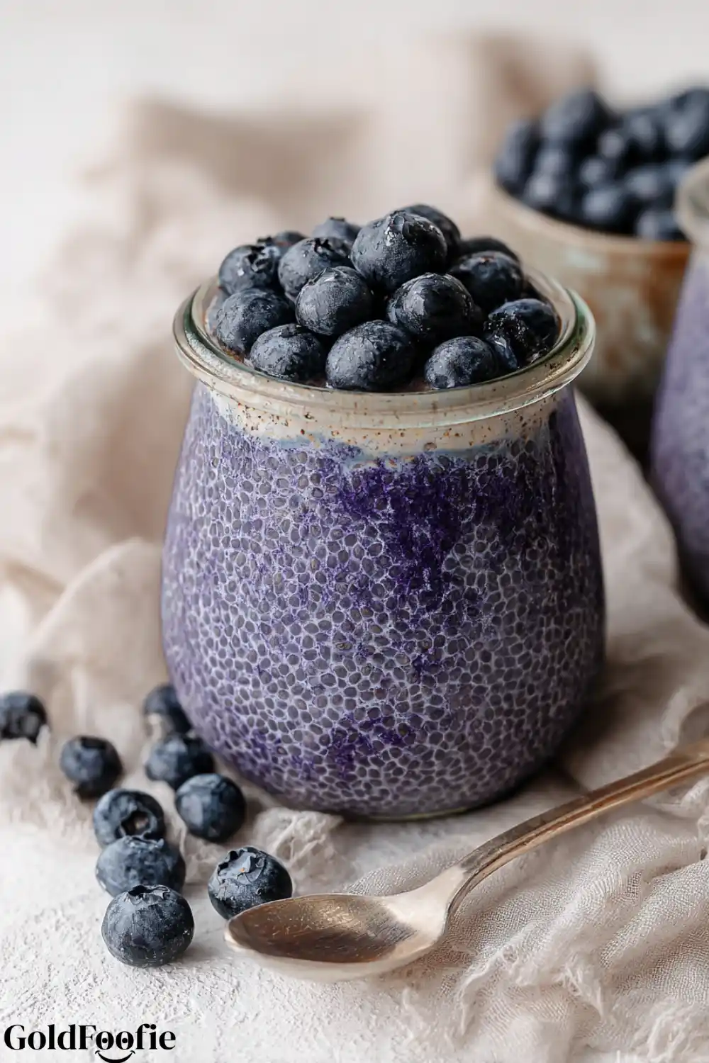 Blueberry Chia Pudding 5 Blueberry chia pudding in glass with golden spoon