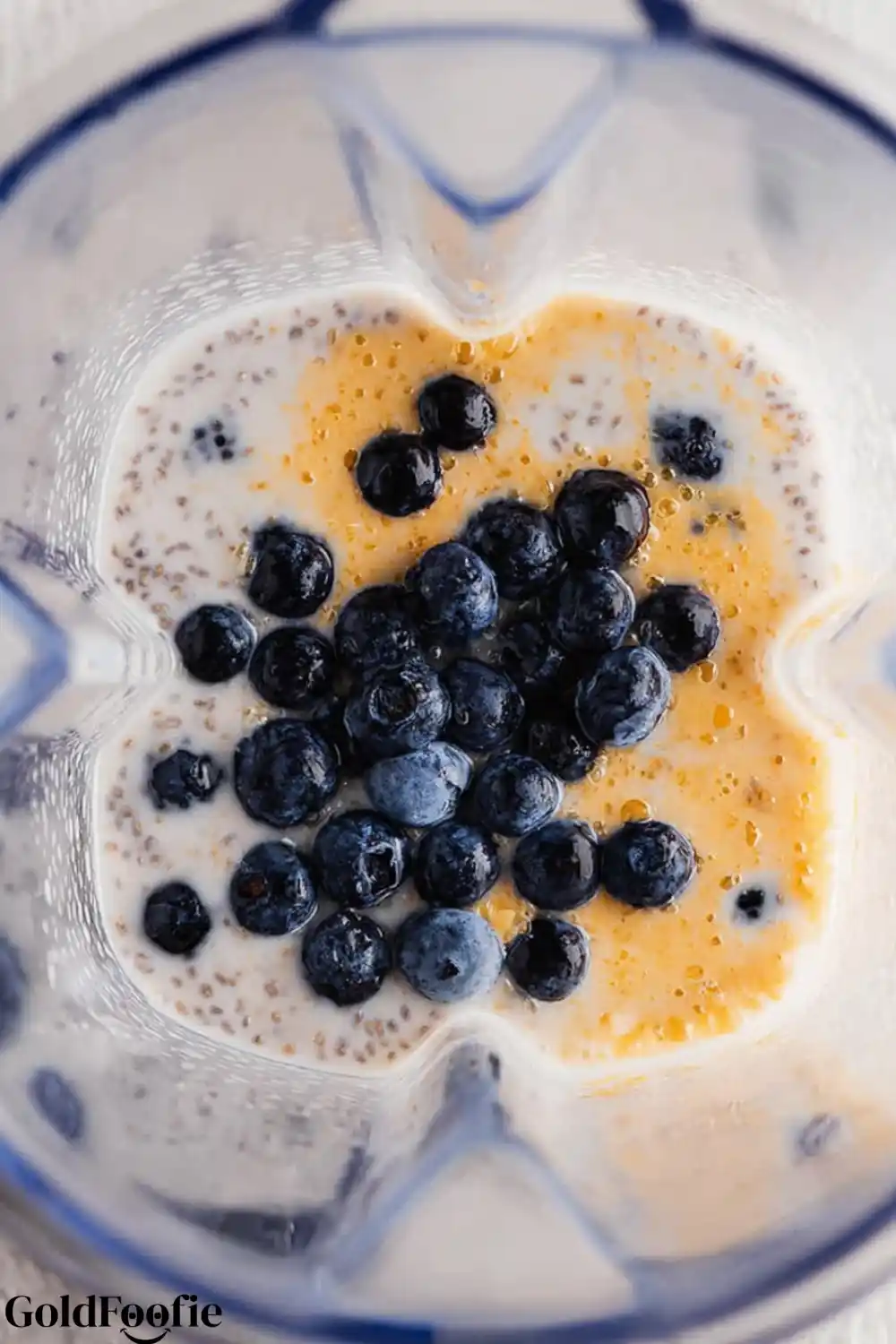 Chia Pudding Ingredients in Blender Ingredients for blueberry chia pudding