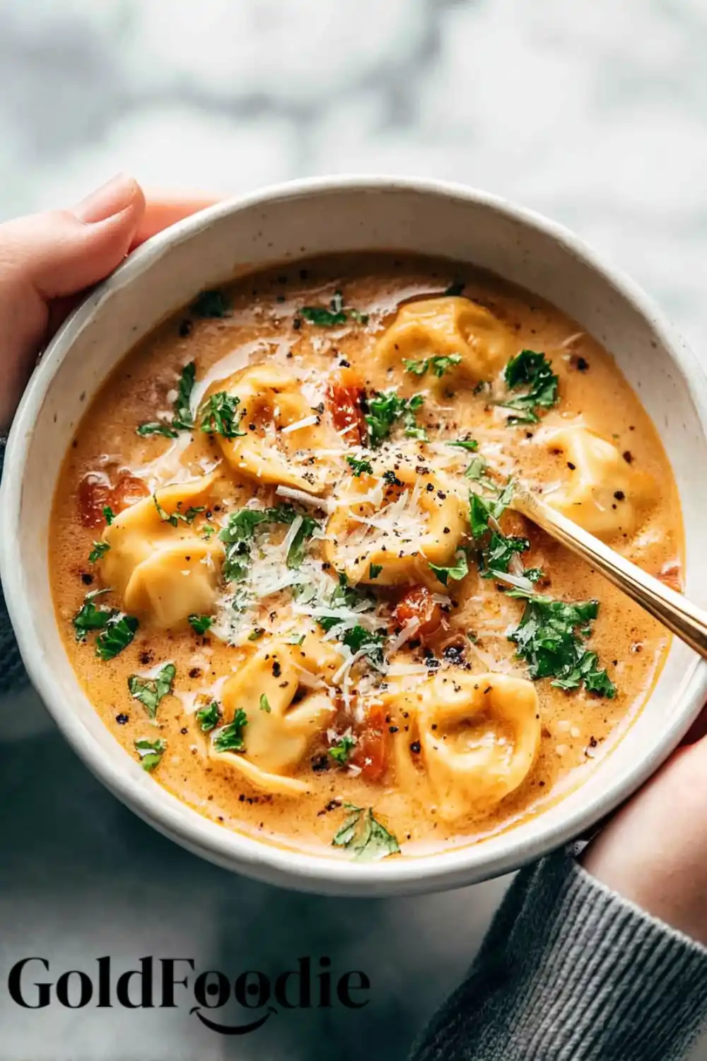 Cheese Tortellini in Creamy Broth Creamy tortellini soup tomato-based with grated cheese and herbs