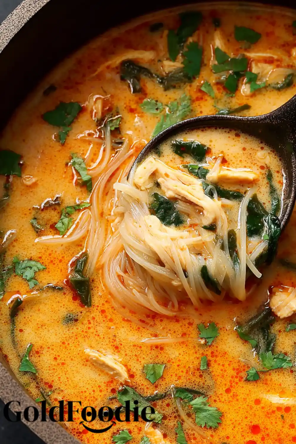 Chicken and Noodle Close-Up Close-up of Thai chicken soup with noodles and herbs
