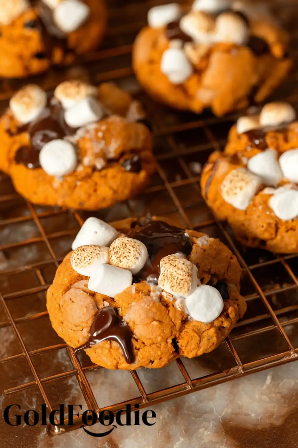 Cookies Cooling with Melted Topping Pumpkin s'mores cookies on cooling rack with melted chocolate and marshmallows