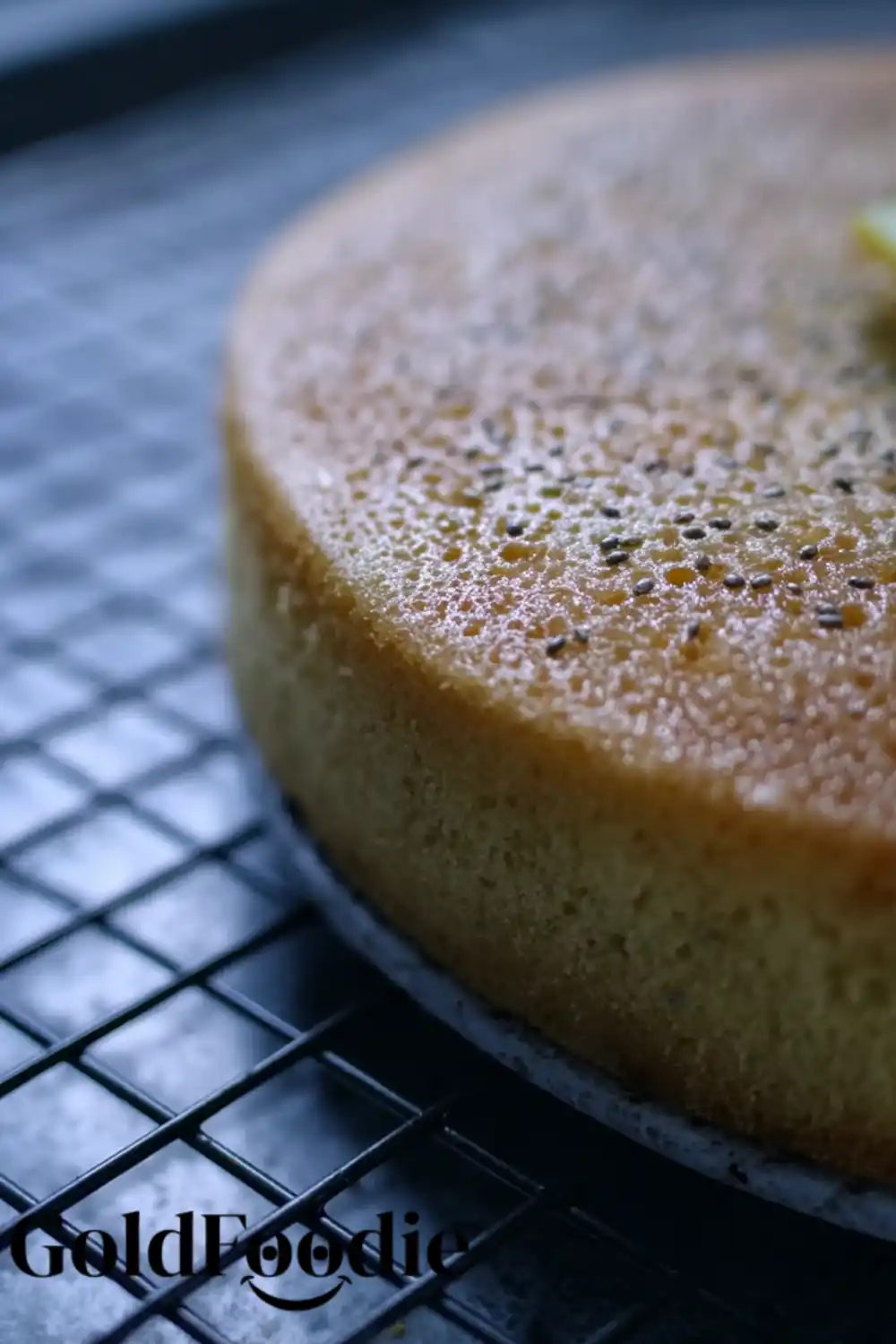 Cooling Baked Chia Cake Close-up of Vegan lemon chia seed cake cooling