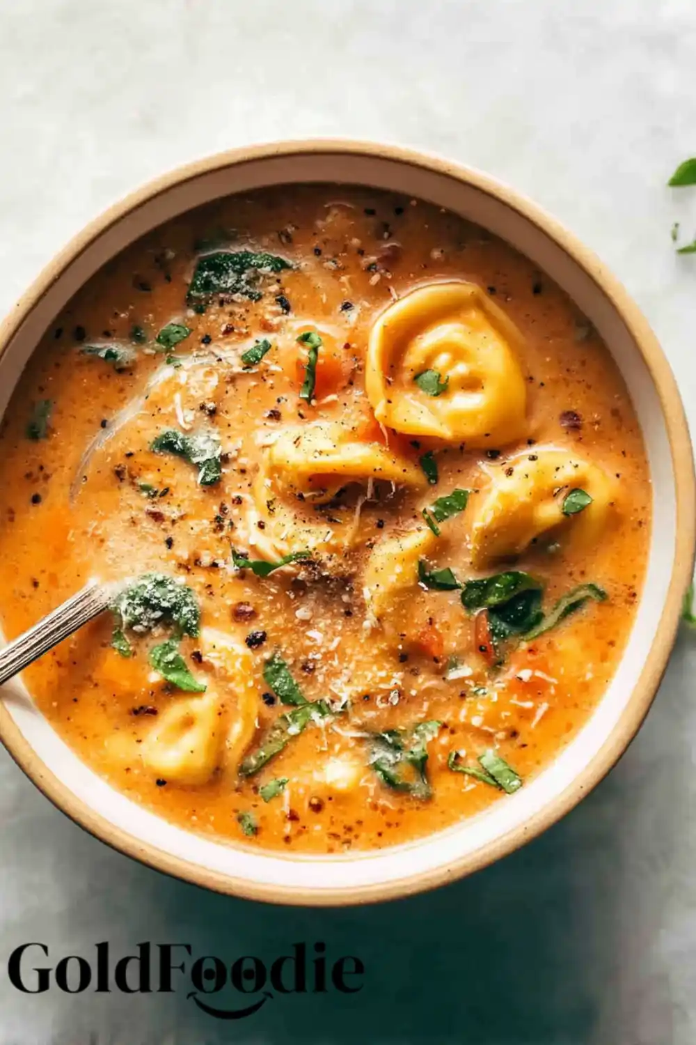 Rustic Tortellini Soup Presentation Creamy tortellini soup with pepper, cheese, and greens