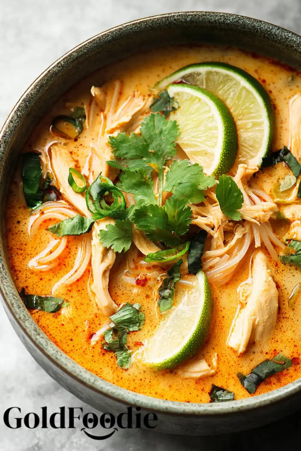 Soup Ladle Action Ladle lifting Thai chicken soup with noodles