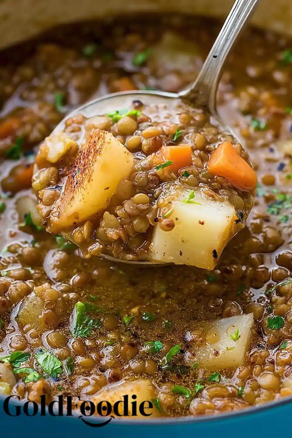 Spoonful of Soup Lentil soup with golden potatoes and carrots